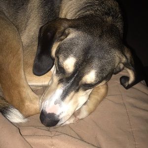 Meet your Posher, Joe